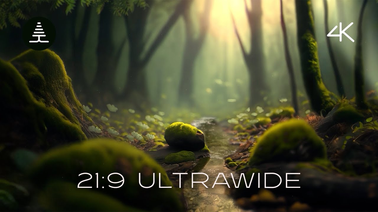 21:9 Ultrawide Soothing Rainforest Birds and Water Sounds – 2 Hours Sleep Aid