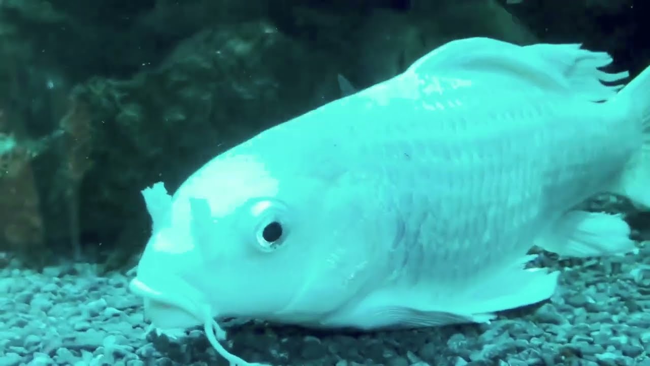 AQUA GARDEN CAFE @LOTTE WORLD TOWER