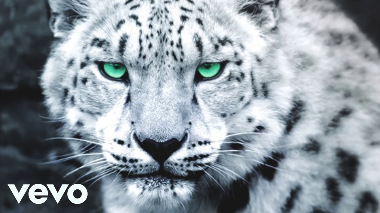 [New] Future, Drake ~ The Jungle (Music Video 2025)