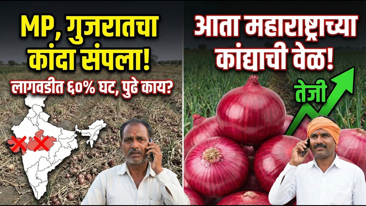 kanda bajar bhav | कांदा भाव वाढीचे धोरण यंदाच्या बजेटमध्ये ठरणार? | union budget 2026