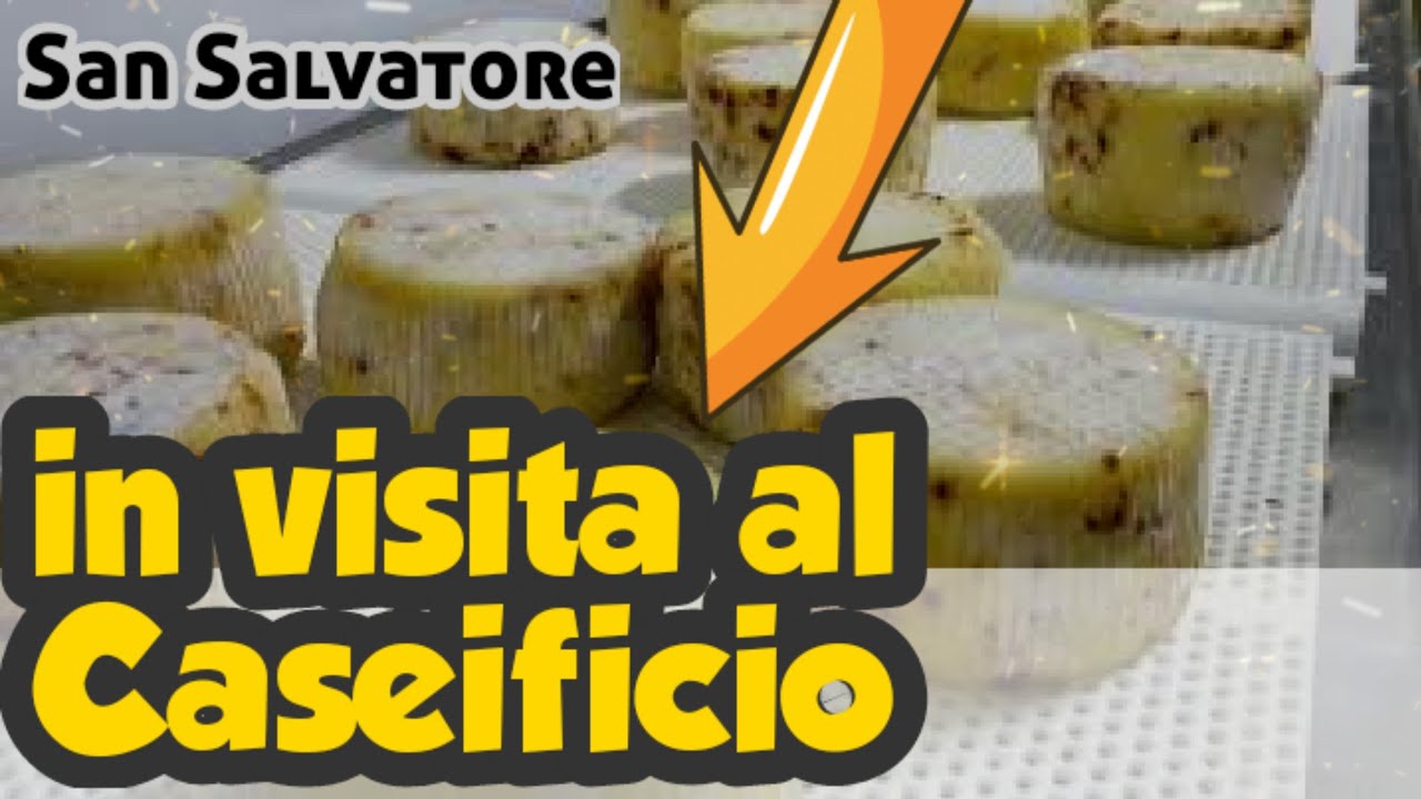 Visita al caseificio di Manfredonia montagna Contrada San Salvatore - 1000 iscritti