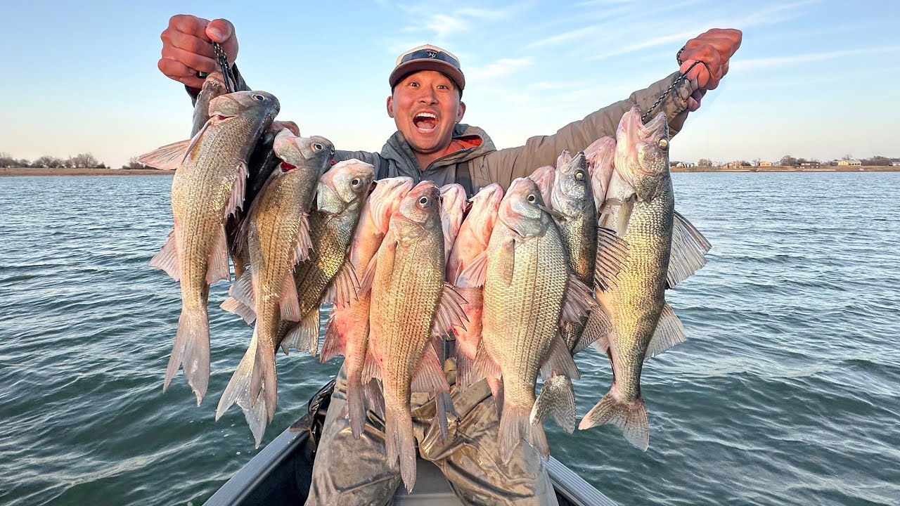 Весенняя рыбалка на белого окуня и судака! (Поймай и приготовь)