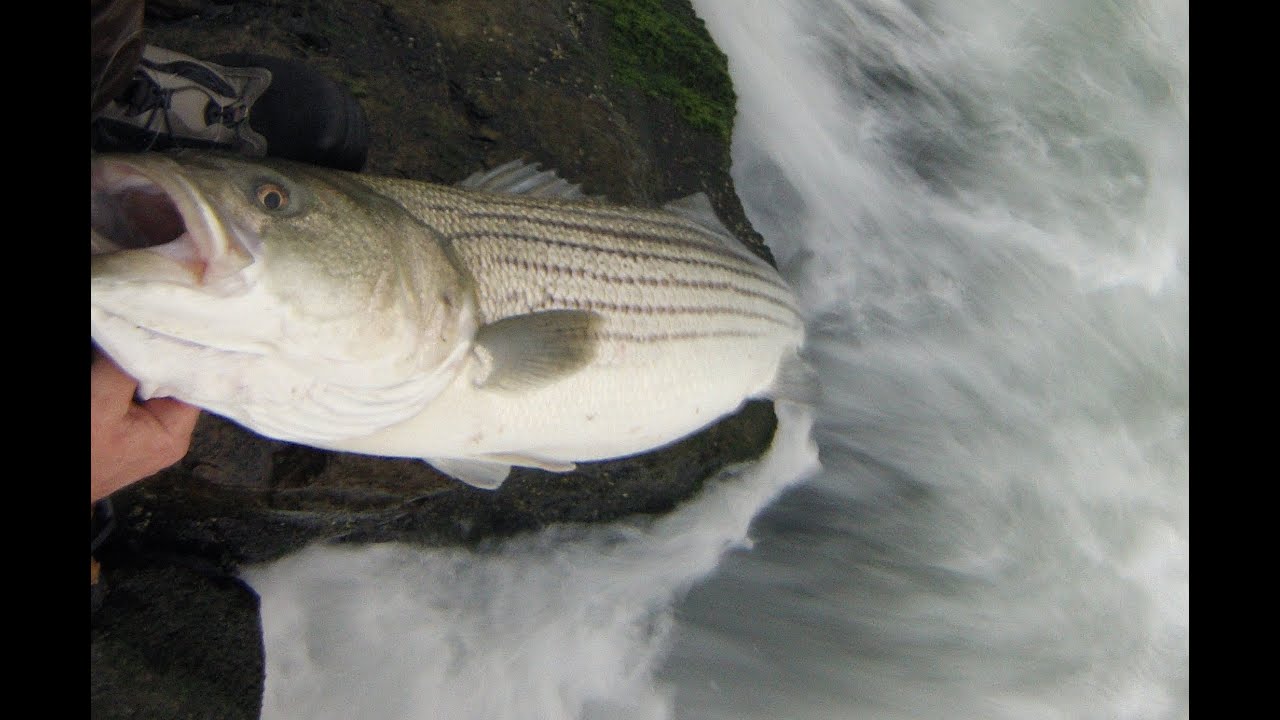 Jetty Fishing for Stripers - A Rough Landing