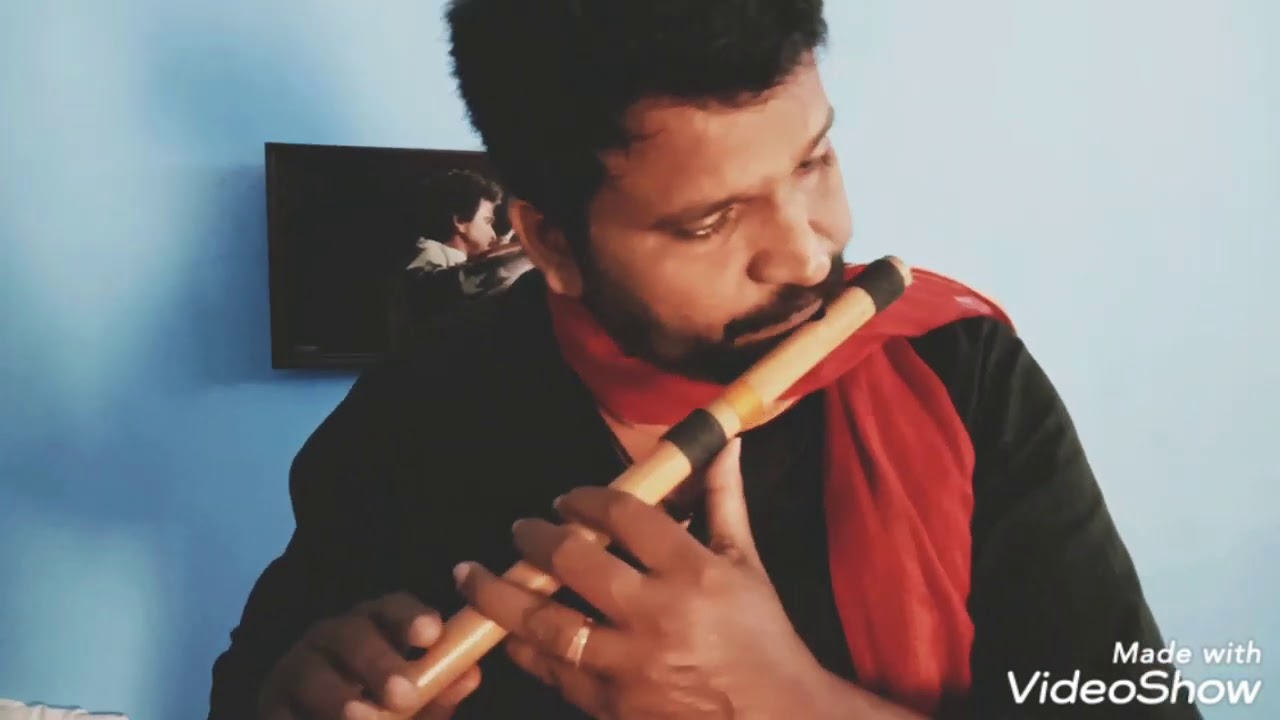 Bharatham Flute Cover