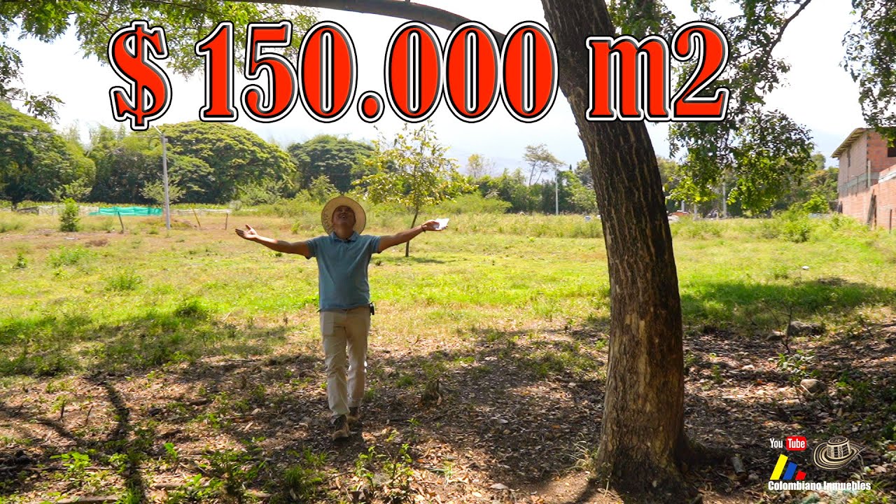 Lote Independiente en Zona Rural de Santa Elena.Con Maravilloso &Aacute;rbol Saman🌳