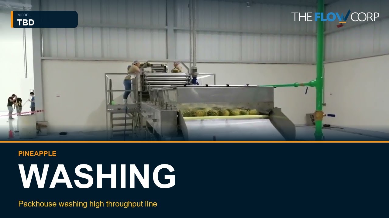 Pineapple Washing System