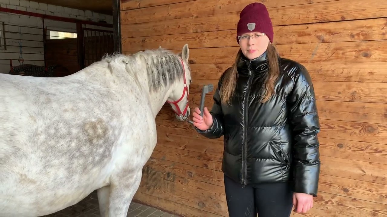 Nauka czyszczenia konia 🧽