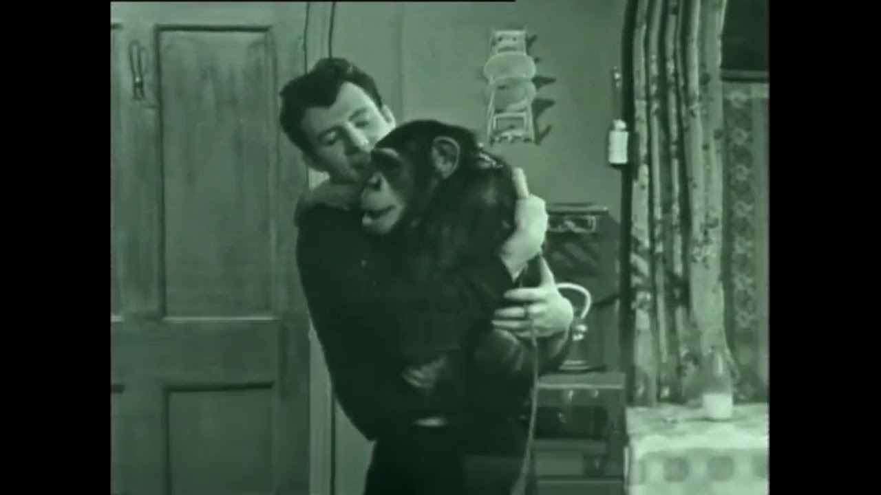 Coronation Street - 13th November 1961