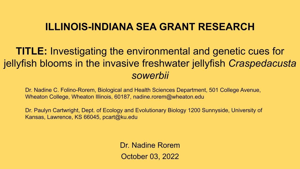 Research: The environmental & genetic cues for jellyfish blooms in the invasive freshwater jellyfish