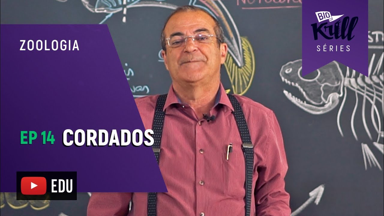 Cordados (Zoologia - EP14) I Biokrill Séries