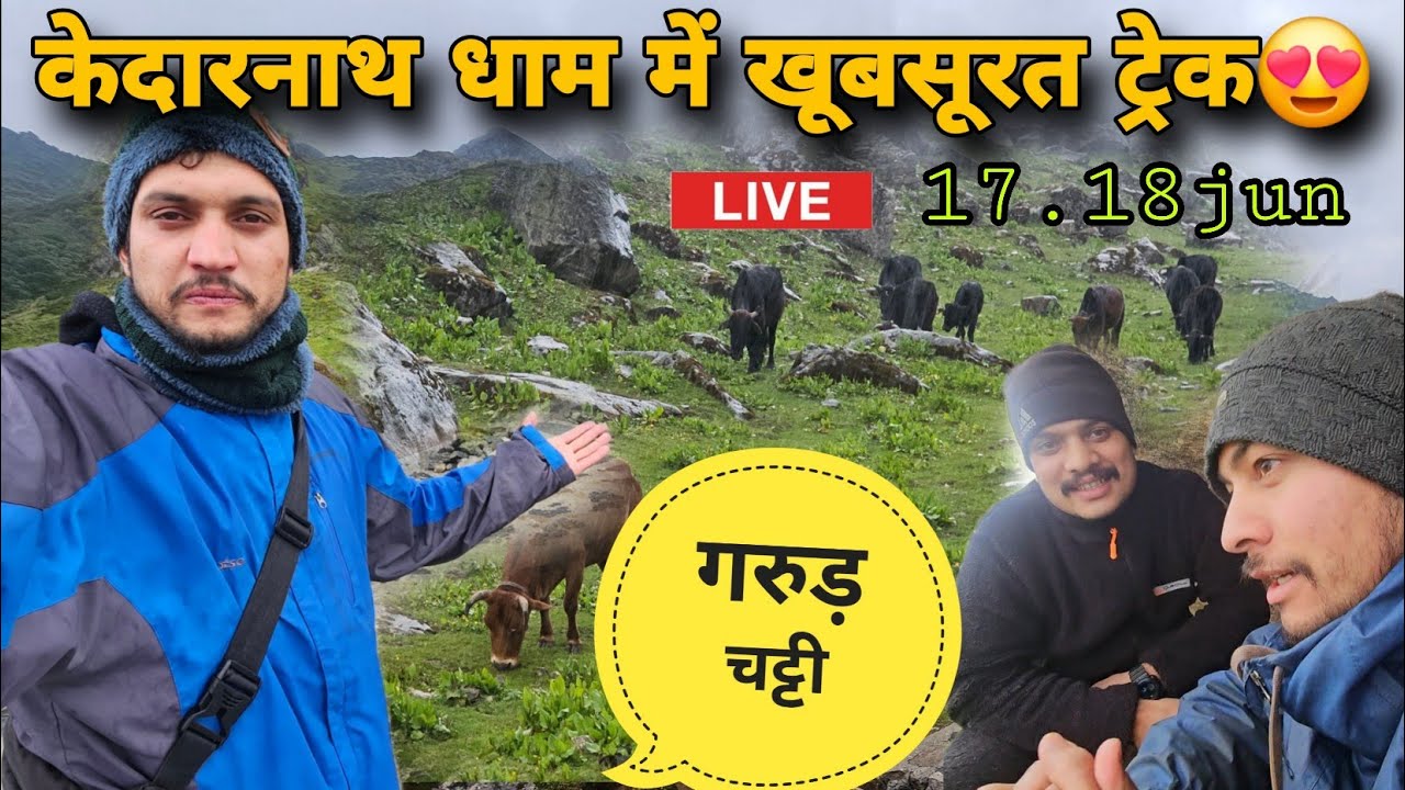 यहां से होंगी अब केदारनाथ धाम की यात्रा शुरू || भारी बारिश में फ़स गए आज || kedar nath yatra 2026 || 