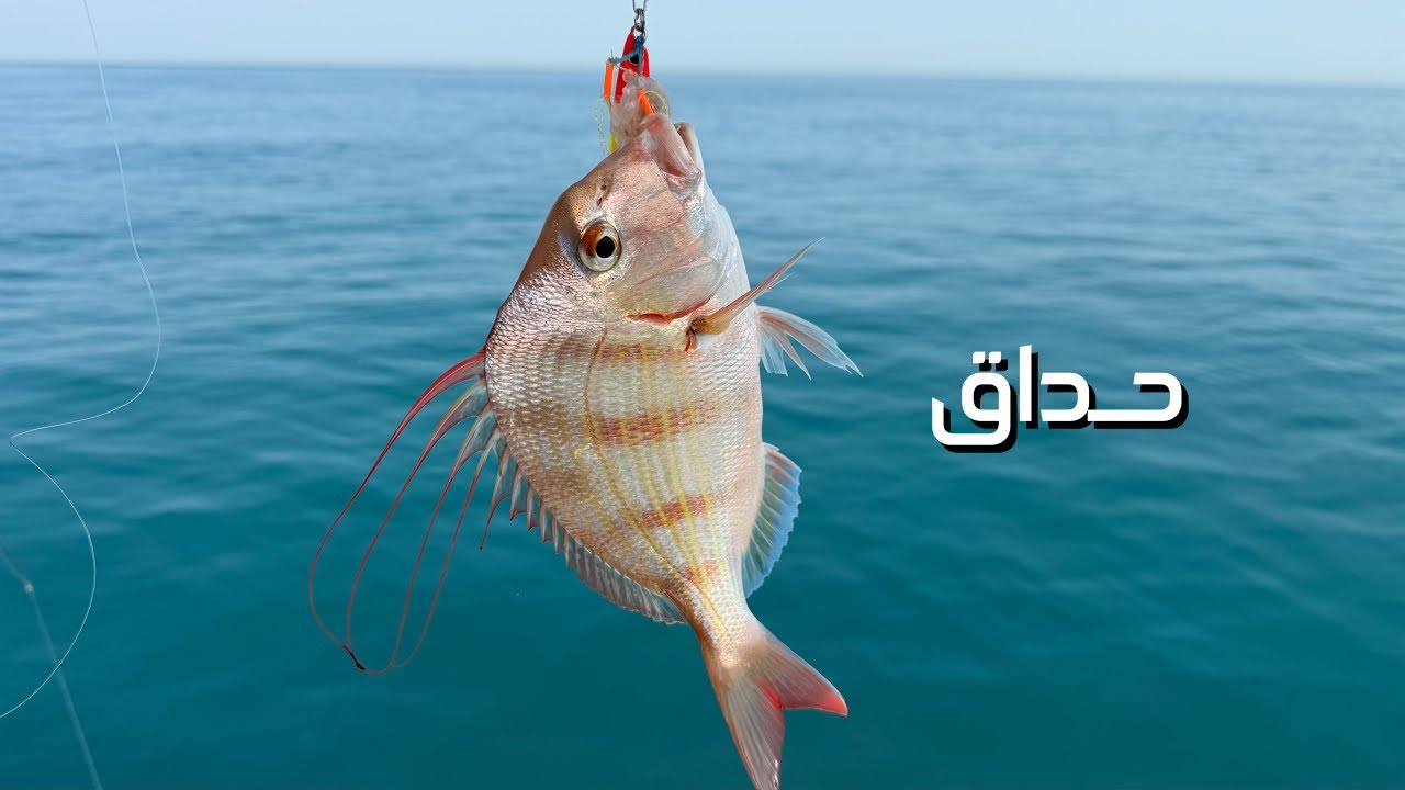 صيد حداق و بحر جميل