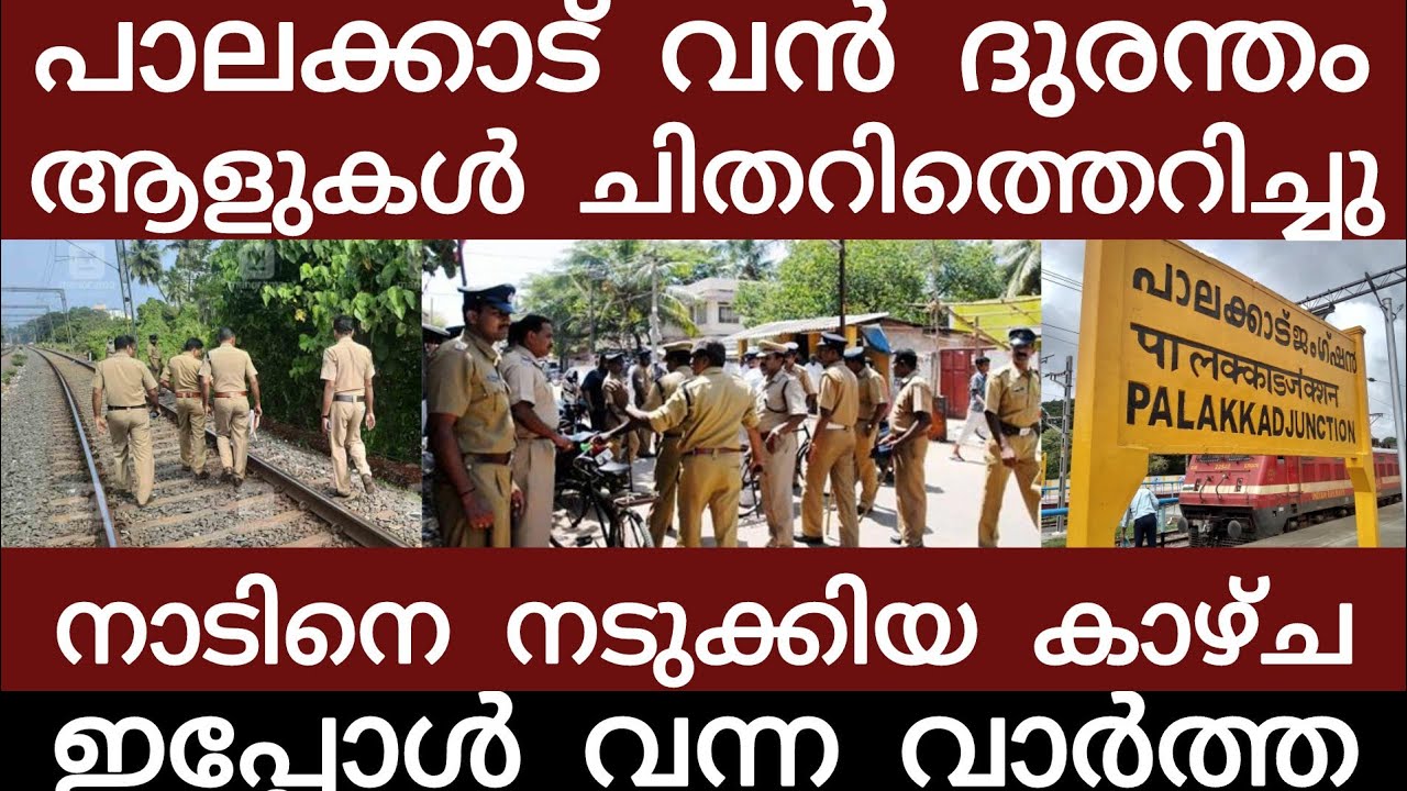 വൻ ദുരന്തം.. അലറി കരഞ്ഞോടി ജനങ്ങൾ | Breakingnews | Keralapolice |