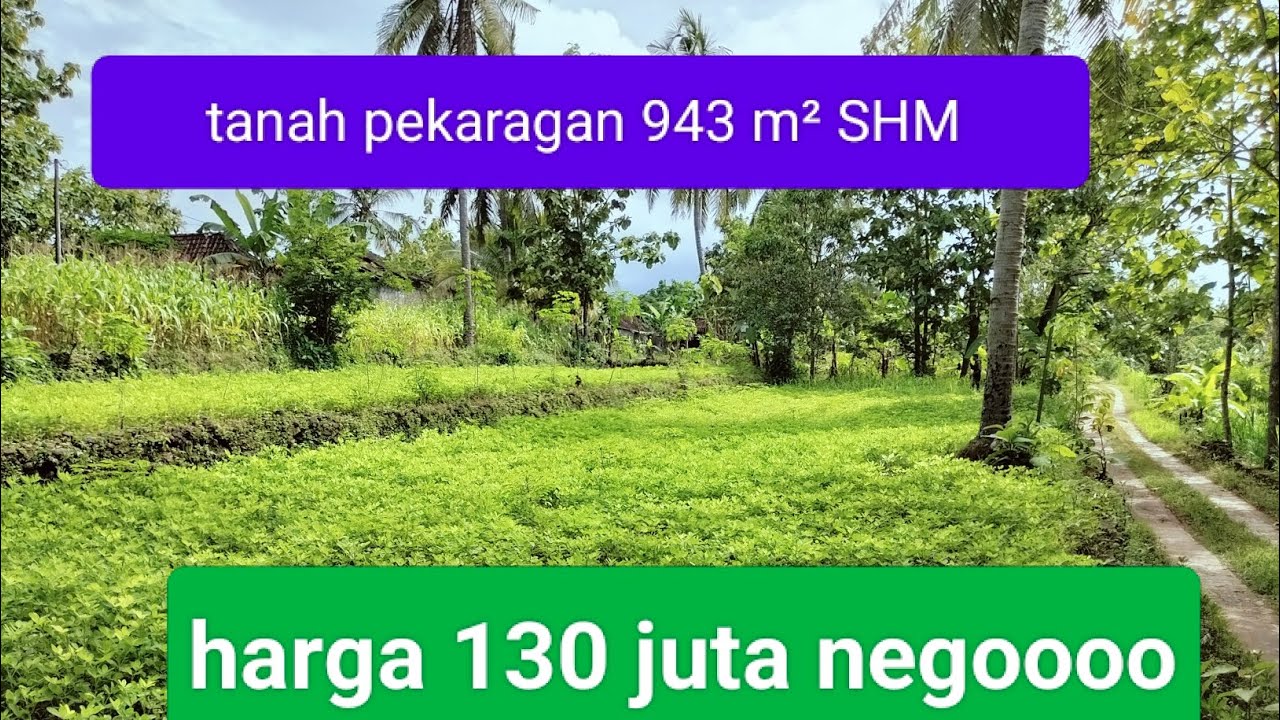 ! Rekomendasi tanah buat hunian@YbProperty-v4x 
