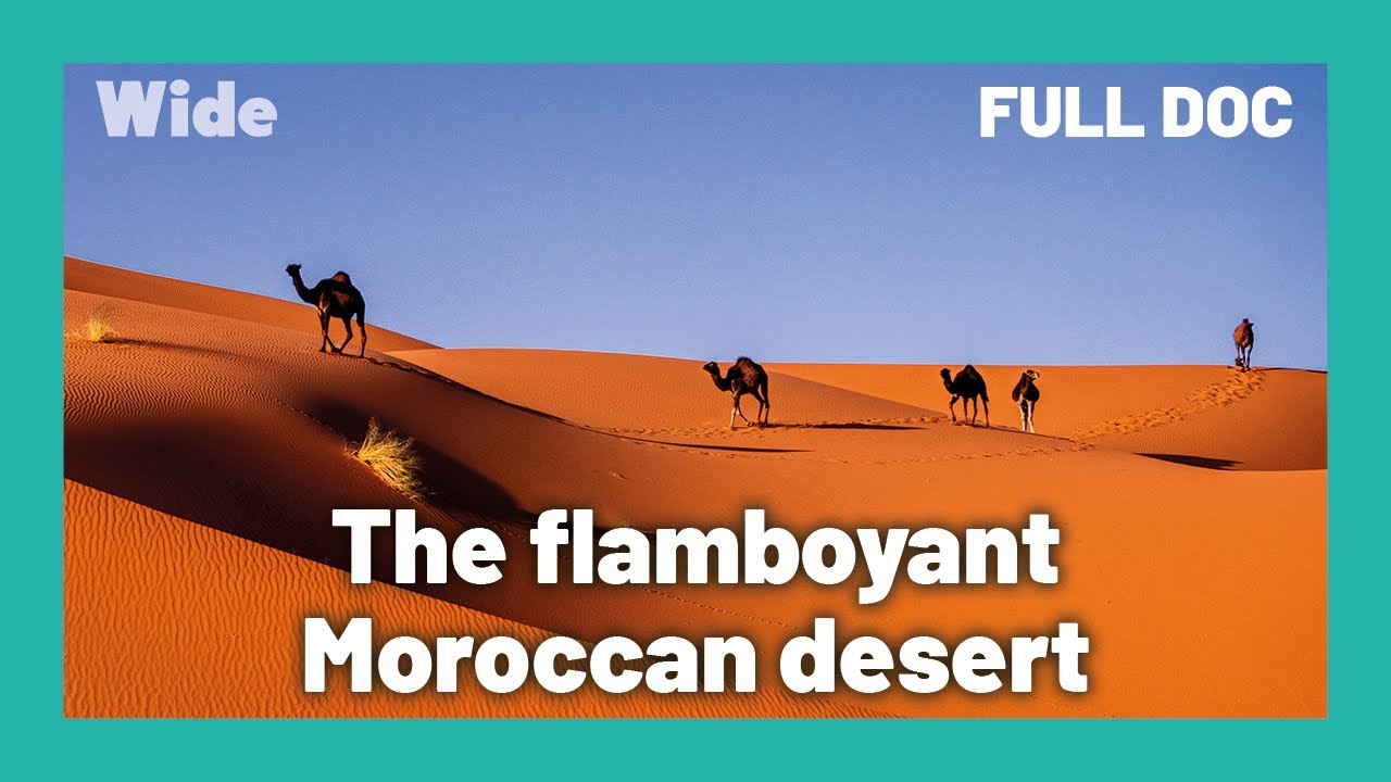Les paysages majestueux du d&eacute;sert marocain | LARGE