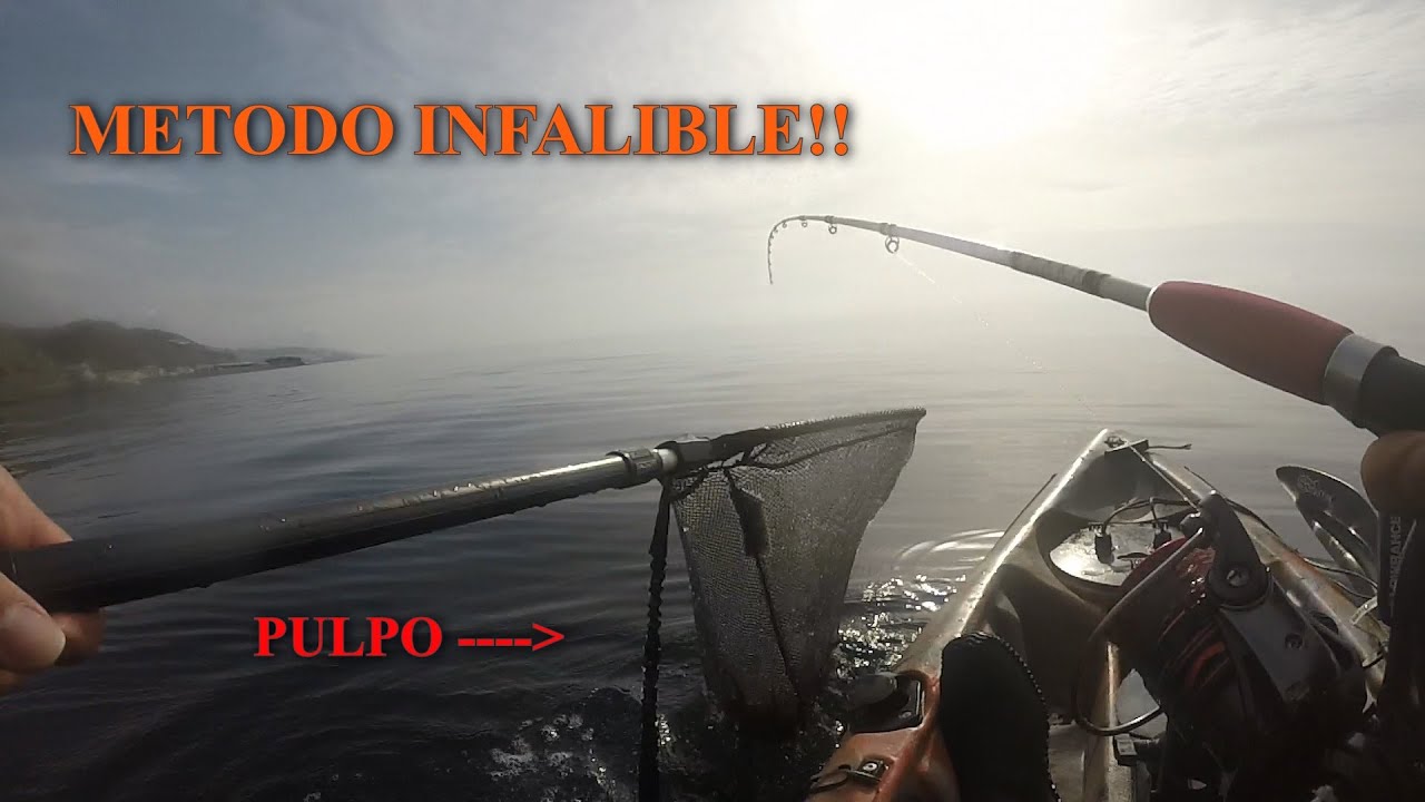 Como PESCAR PULPO 🐙 METODO INFALIBLE 🐙 Desde Kayak con Pez vivo -  Kayak Barracuda Pro
