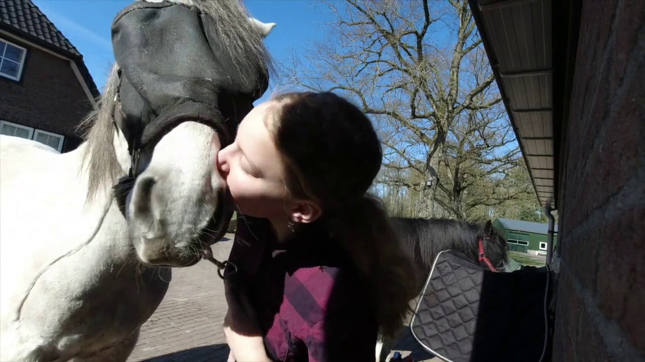 Paardrijden op de veluwe