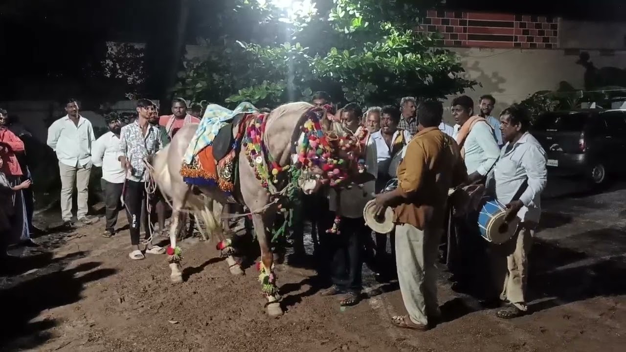రాయపూడి | గుంటూరు జిల్లా | Horse Dance.