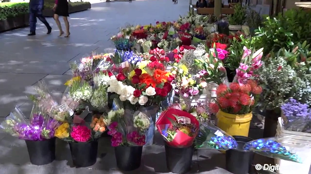 Sony DSC-HX50V Video Test Sample - High Contrast Lighting Condition