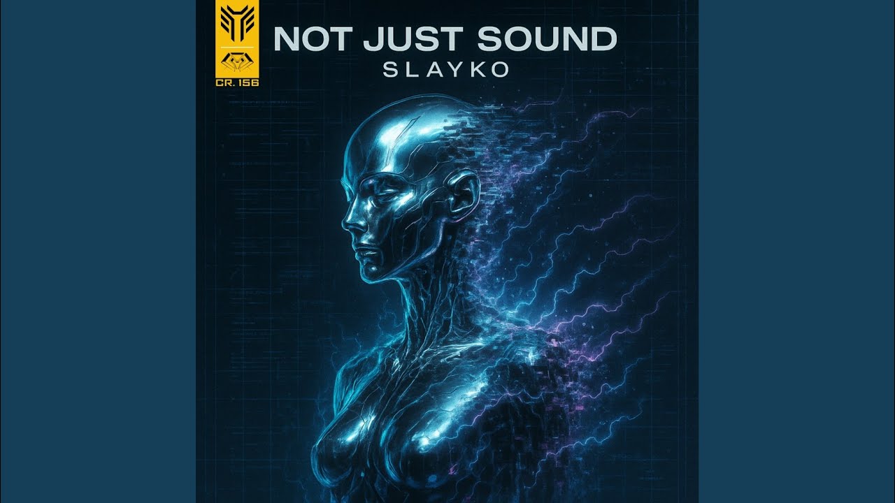 Not Just Sound