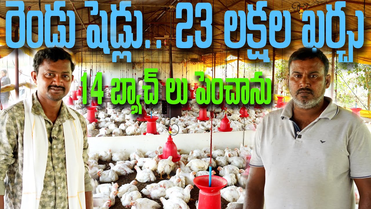 10 వేల కోళ్ల ఫామ్.. నీళ్లు బాలేక 12 బ్యాచ్ లు ఫెయిల్ | Poultry Farm