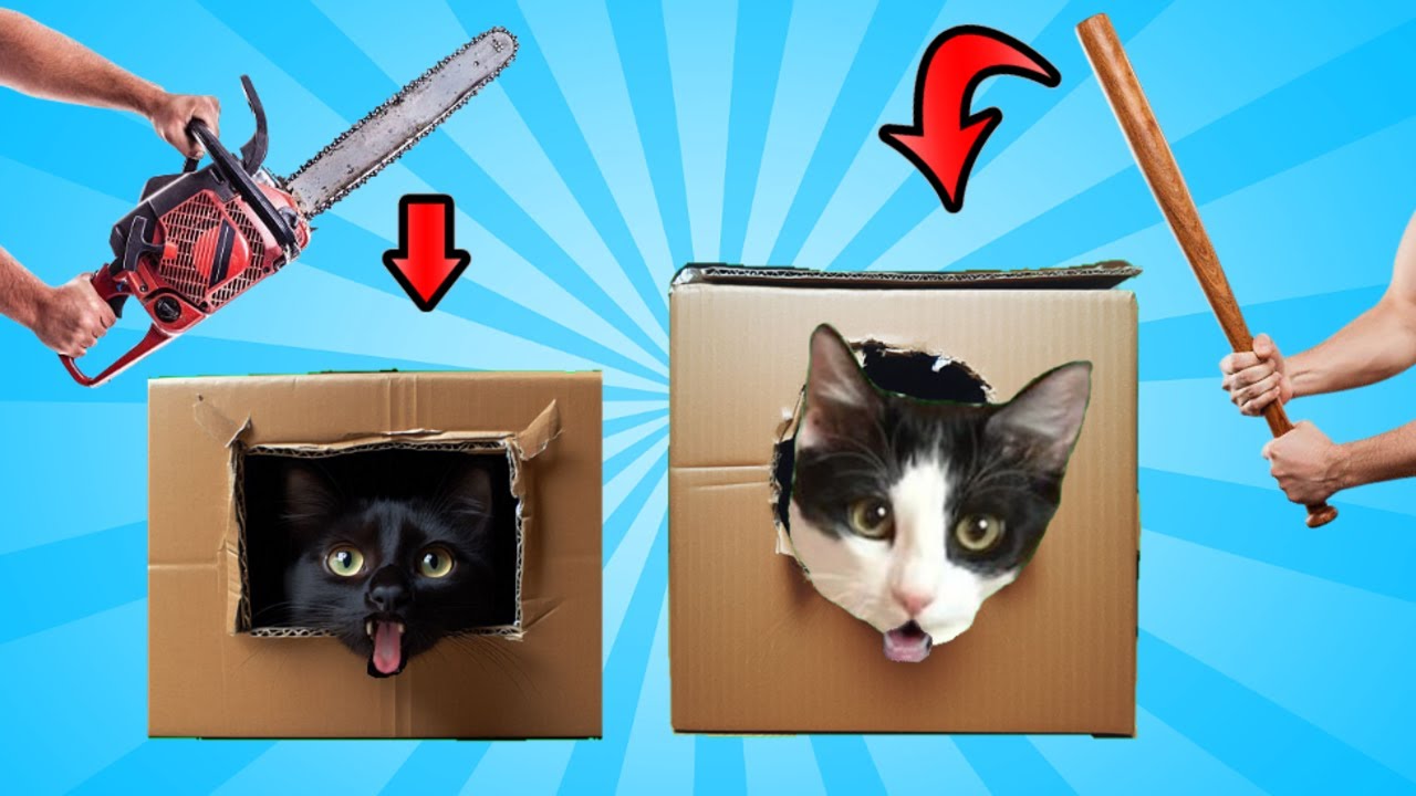 24 HORAS JUGANDO A LAS ESCONDIDAS EN CAJAS DE CARTON PERO VS GATOS YOUTUBERS