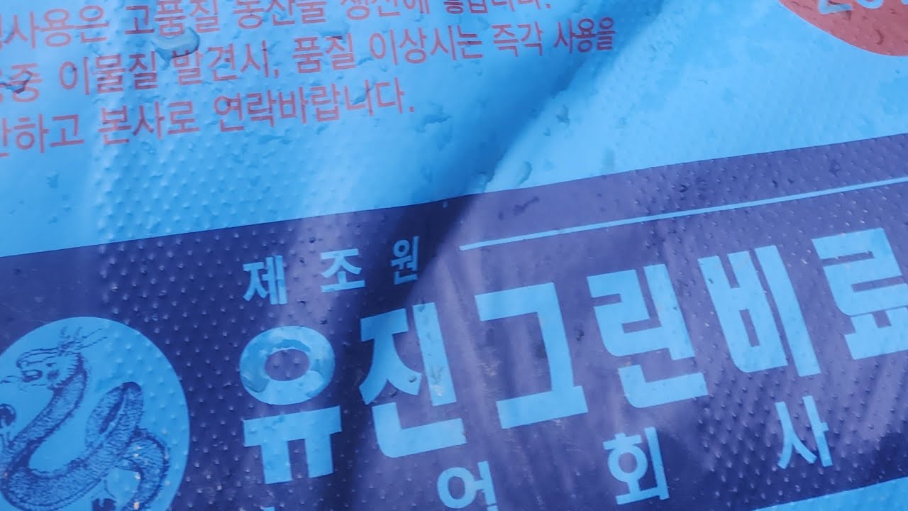 태양초아짐 라이브9 텃밭 왔읍니다 #시골살이브이로그