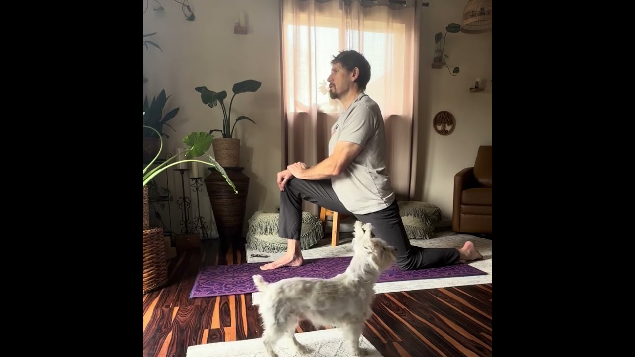 Morning yoga for an anxious ￼eating @Yogaforanxiouseating 