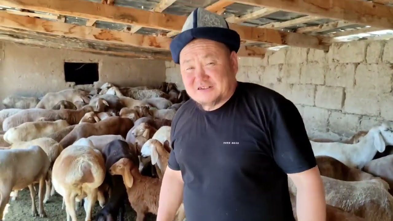 ТИЛЕК ТЫНАЛИЕВДИН ЭЛИТА АРАШАН ЧАРБАСЫ|| ЧАРБАСЫ ГҮЛДӨП КЕТИПТИР