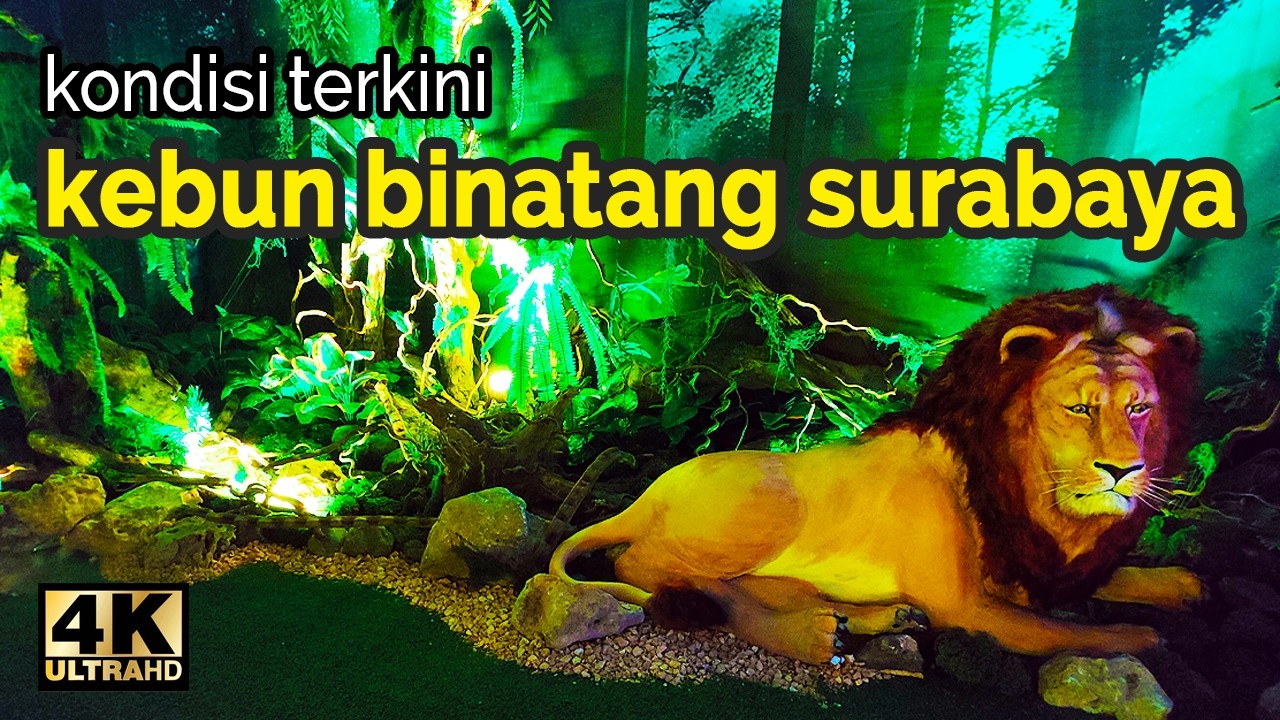 ADA WAHANA BARU‼️ Jelajah Kebun Binatang Surabaya Zoo Terbaru 2025【4K】