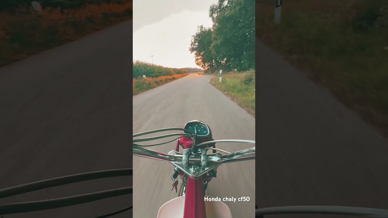 Honda chaly cf50 driving in the sunset 🛵💨 #honda #cf50