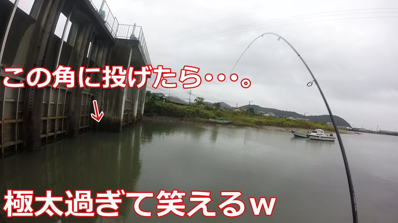 夏来たら嬉しい尺◯◯がこんな場所で釣れた！