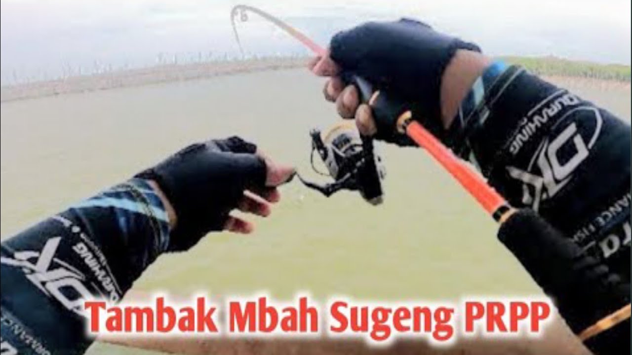 Sensasi Mancing casting di Tambak Pak Sugeng Full strike || Mancing Mania