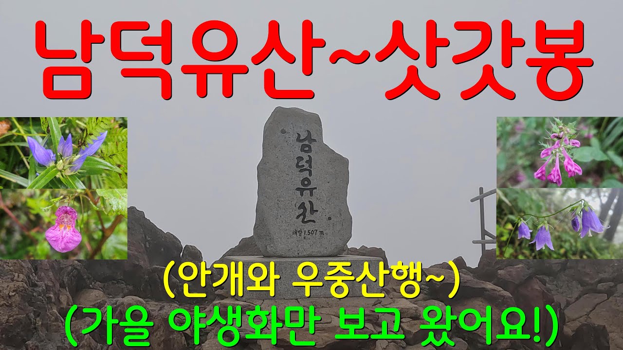 남덕유산~삿갓봉 황점 코스ㅣ흐리고 우중산행과  안개ㅣ가을 야생화만 보고 왔어요!ㅣ바닷가 차박