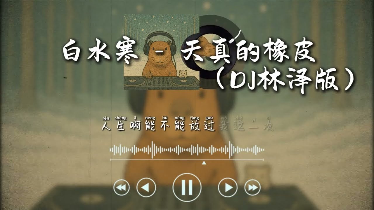 白水寒 - 天真的橡皮（DJ林泽版）一勺料汁~「人生呐 能不能放过我这一次」| kpblMusic (Lyrics)