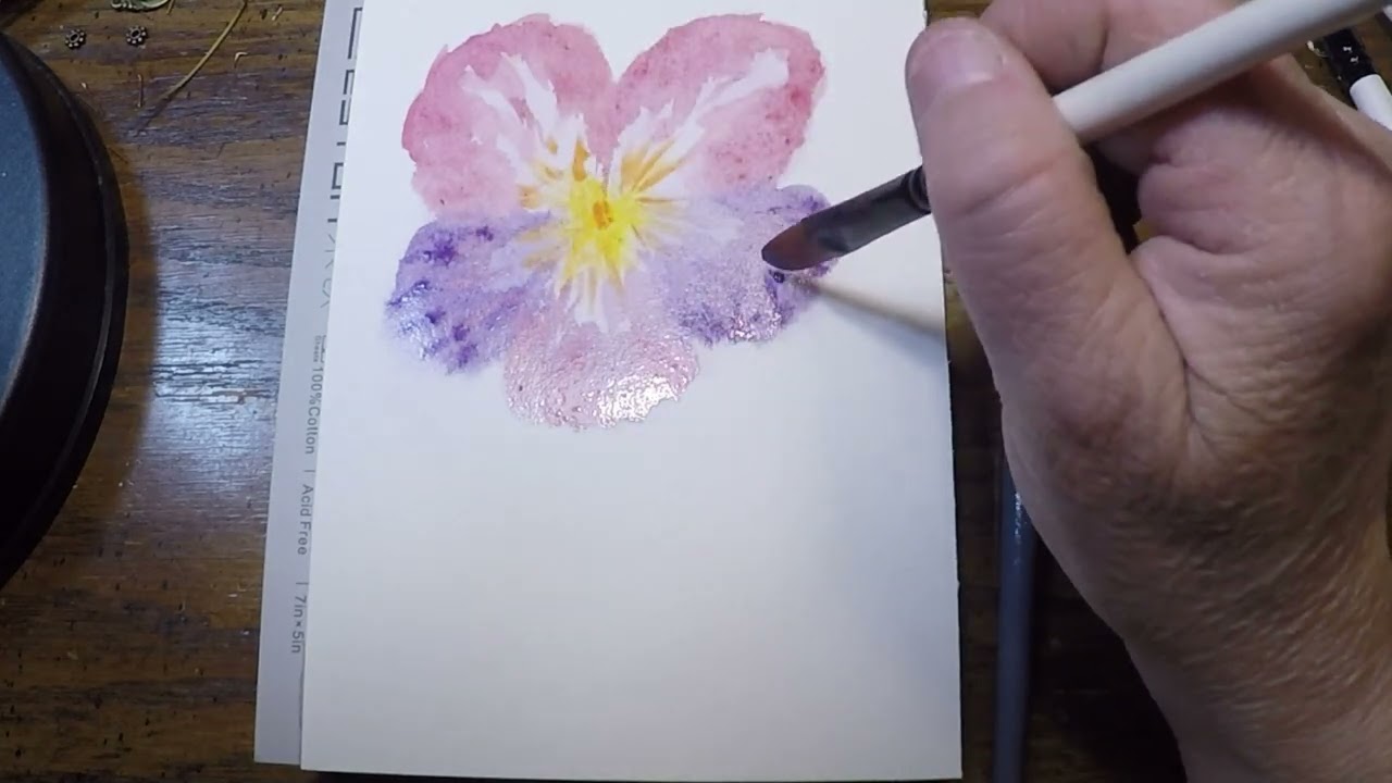 Pansy in Watercolor and story