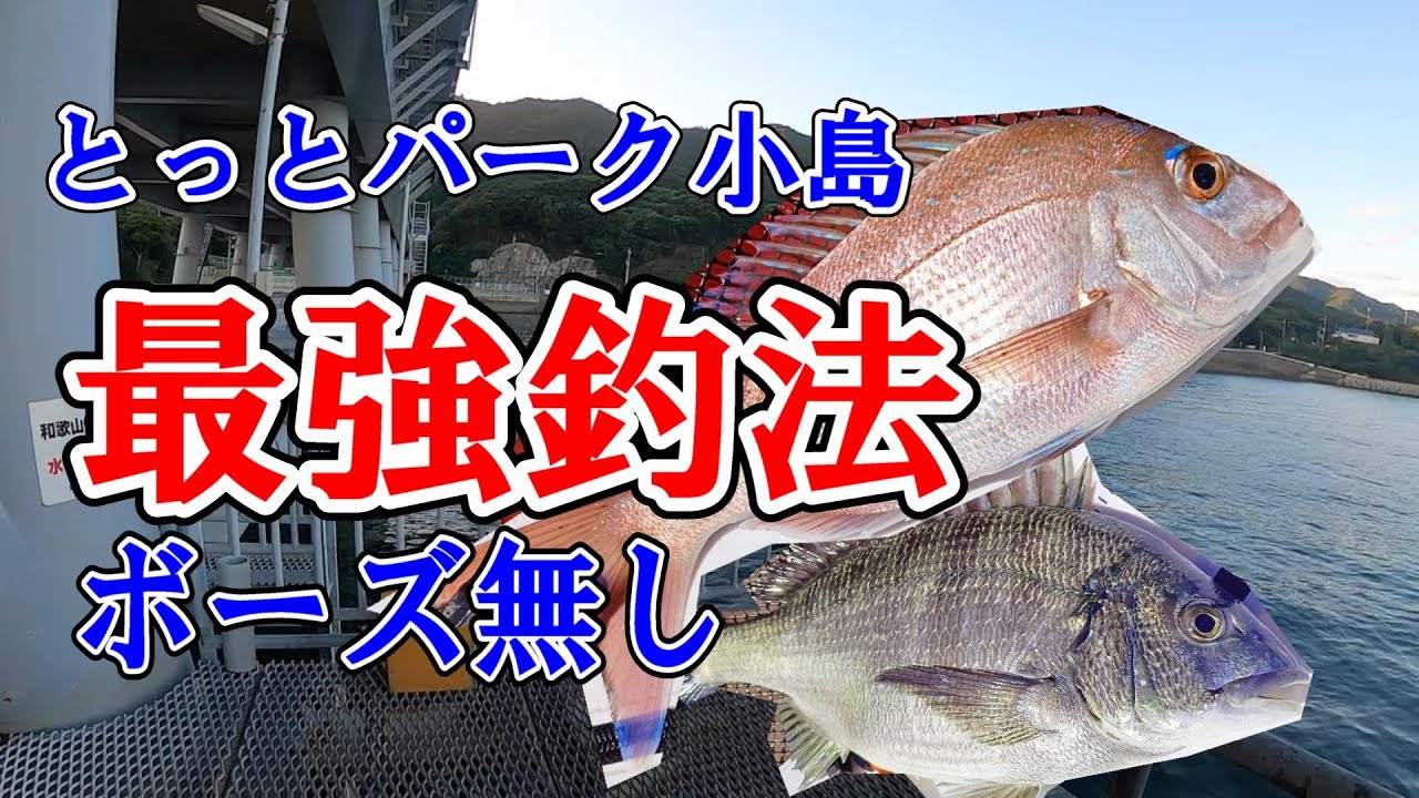 【徹底解説】とっとパーク小島でボーズ無しの最強釣法。ふかせ釣りでチヌ（黒鯛）に真鯛。