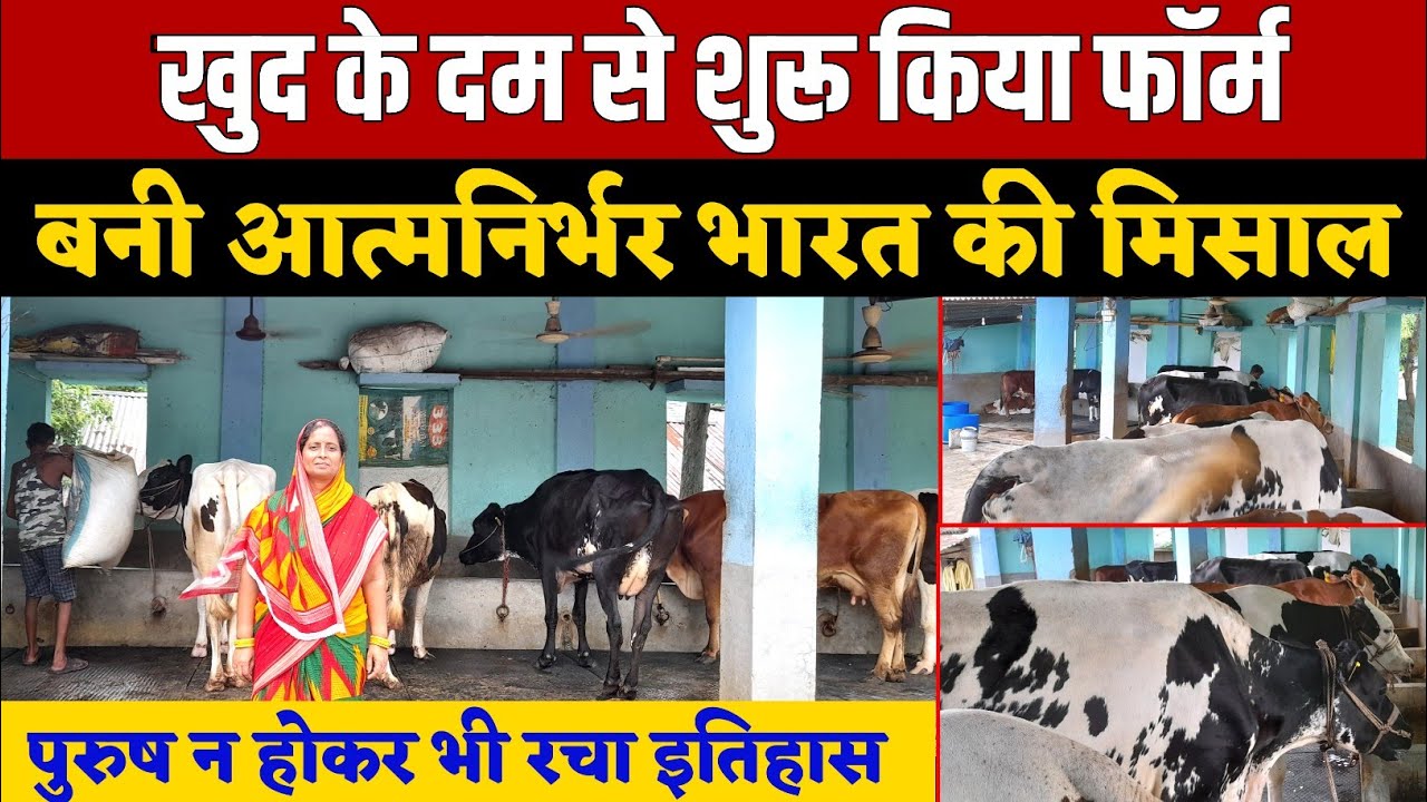 शिक्षक की नौकरी छोड़ अकेले के दम पर महिला ने शुरू किया फार्म/abs cow/hf bull/hf cross cow/hf cowprice