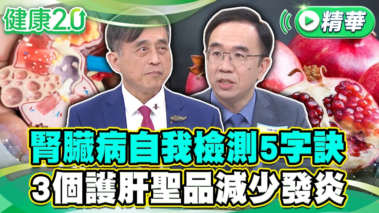 腎臟病自我檢測5字訣 3個護肝聖品減少發炎【健康2.0 一周精選】#江守山 #錢政弘