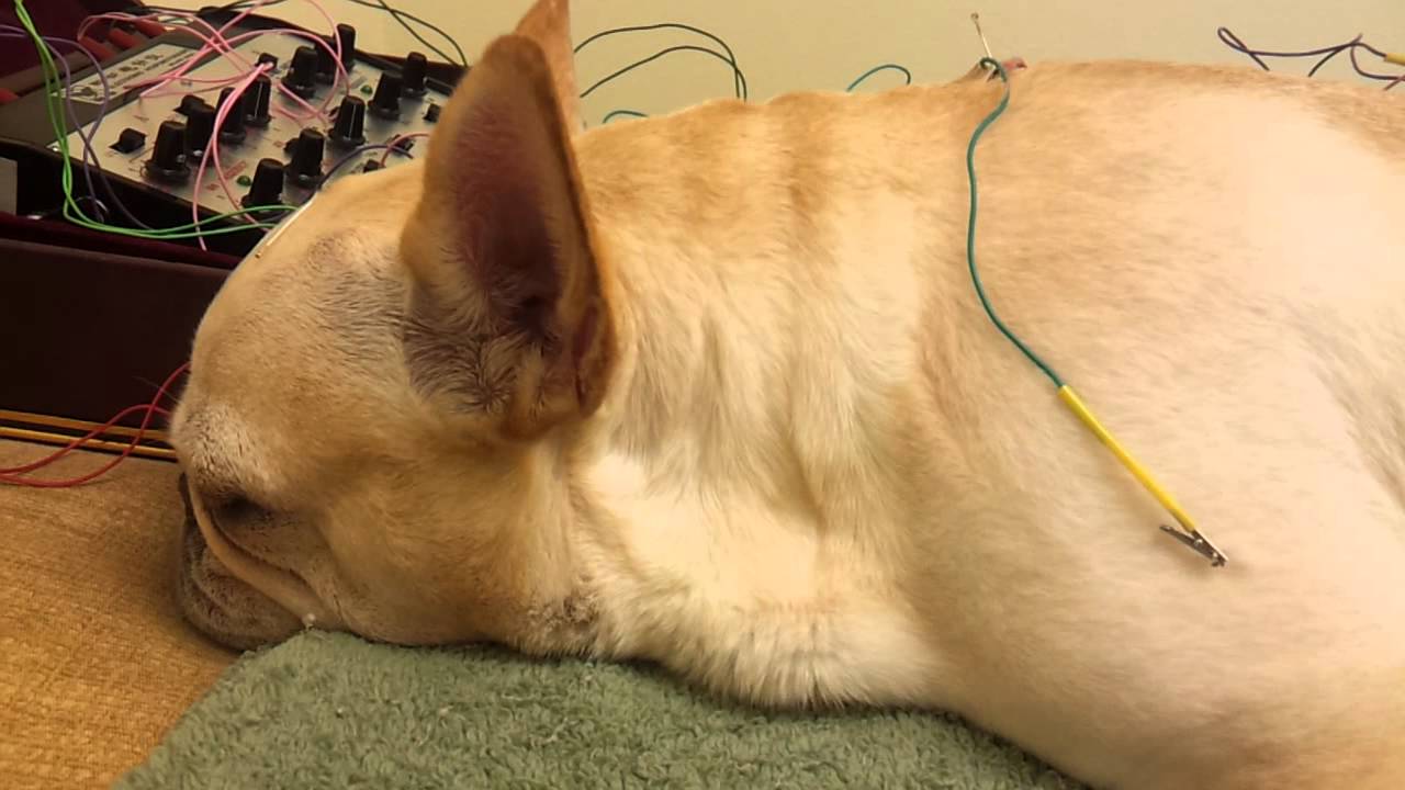 More acupuncture snoring