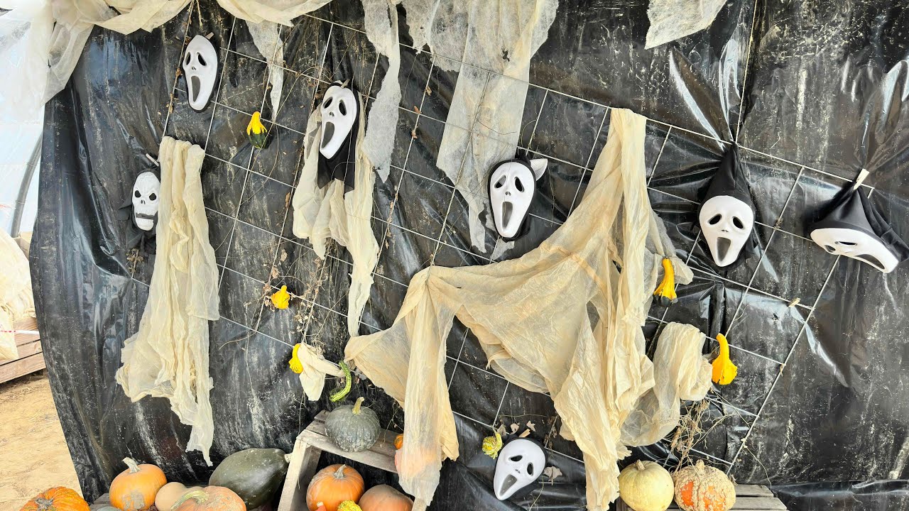 لن تصدقو  مارايت المزرعة المرعبة 🥵🥵🥵🥵👽👽👽 halloween Farm😱🇫🇷🇫🇷😱😱