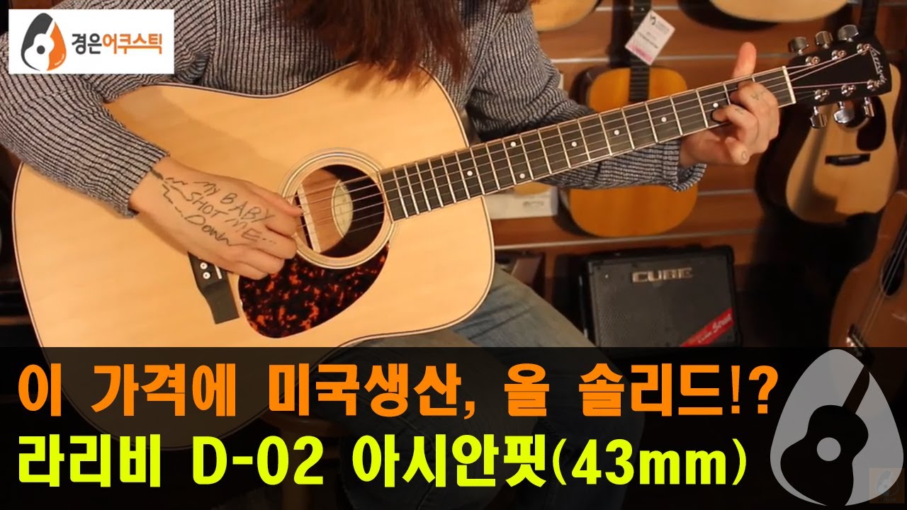 [라리비기타] 라리비 D-02 아시안 핏 기타 리뷰 (Larrivée D-02 Guitar Review)