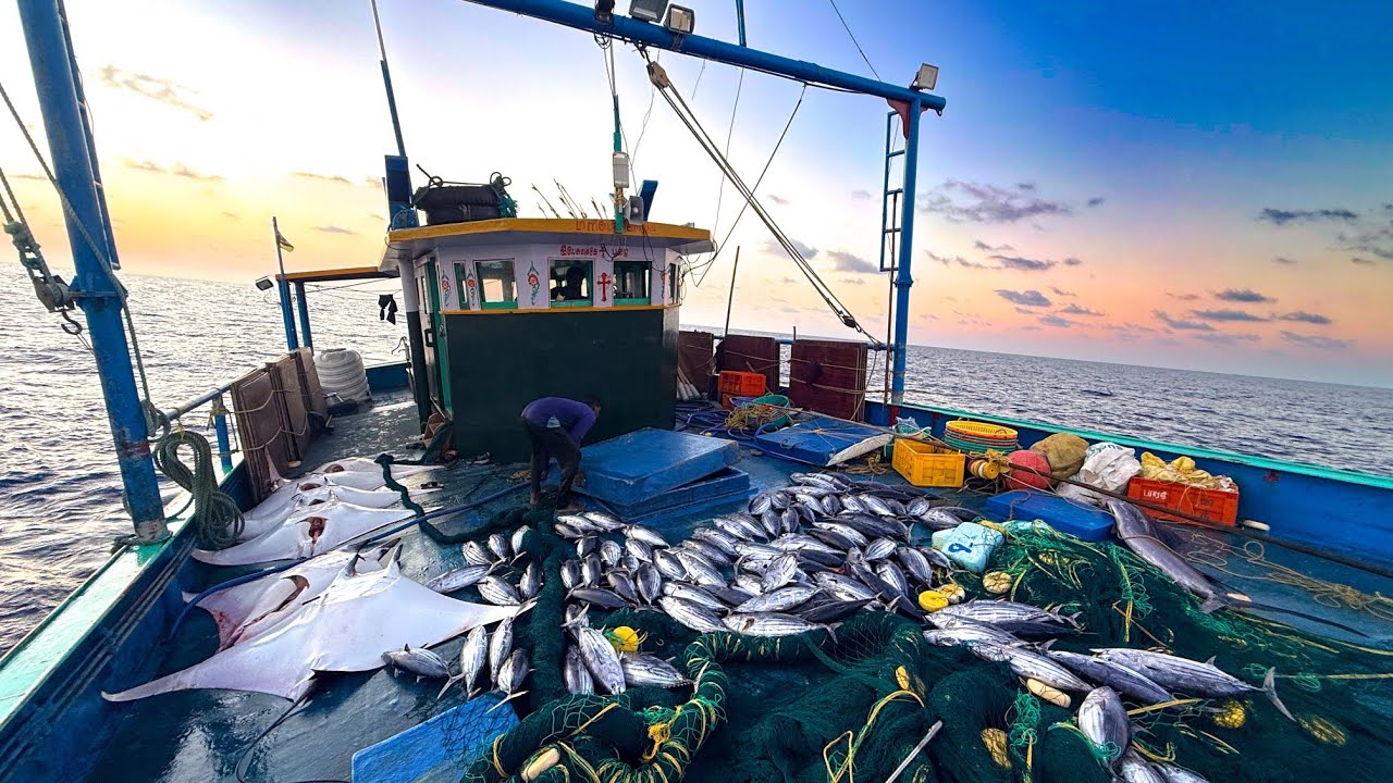 OMG‼️ബോട്ട് നിറയെ മീൻ കയറിയ ദിവസം‼️ Massive Fishing In Indian Ocean💢Day 4