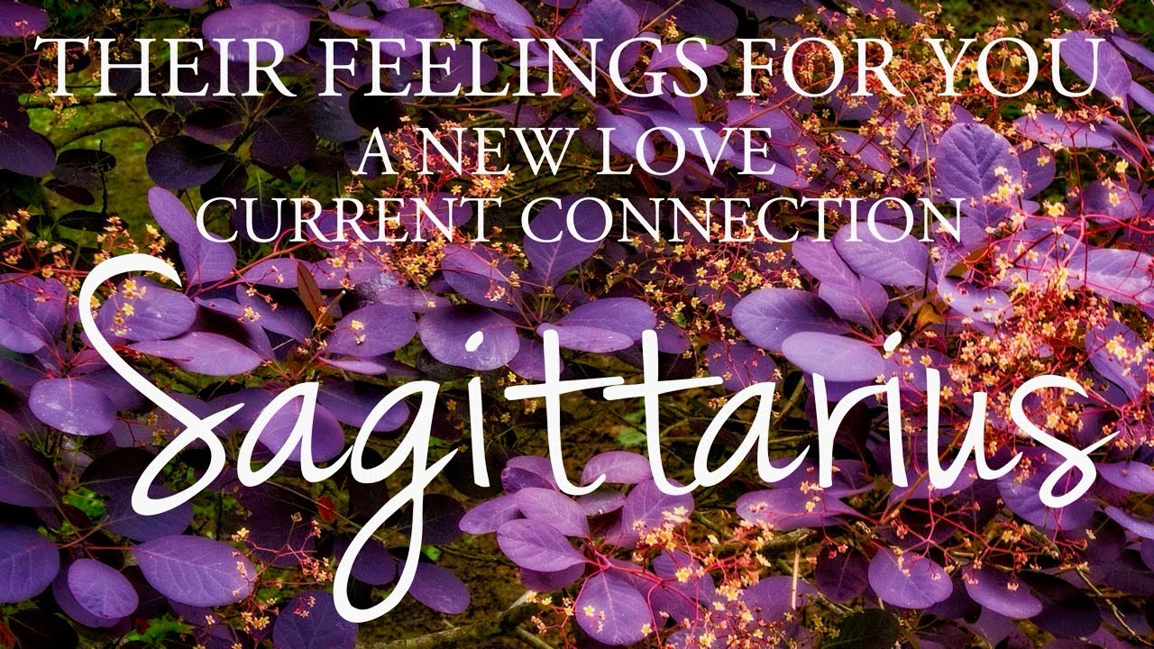 SAGITTARIUS love tarot ♐️ Someone Who Is Very Passionate About This Connection ❤️‍🔥 It’s Crucial