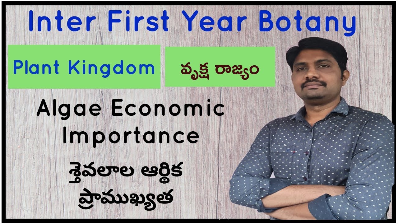 Algae Economic Importance | శ్తెవలాల ఆర్థిక ప్రాముఖ్యత | Plant Kingdom | వృక్ష రాజ్యం | Jr Botany
