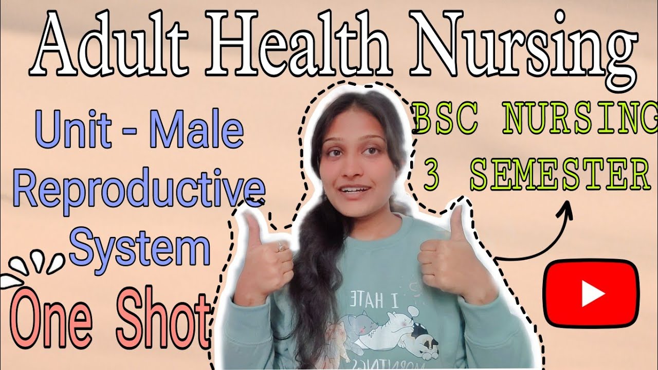 Male Reproductive System in One Shot | Adult Health Nursing | BSc Nursing 4th Semester