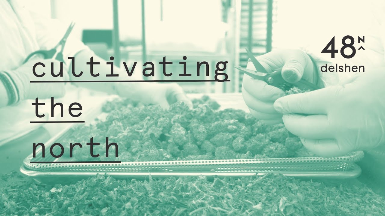 See the Good: Cultivating the North