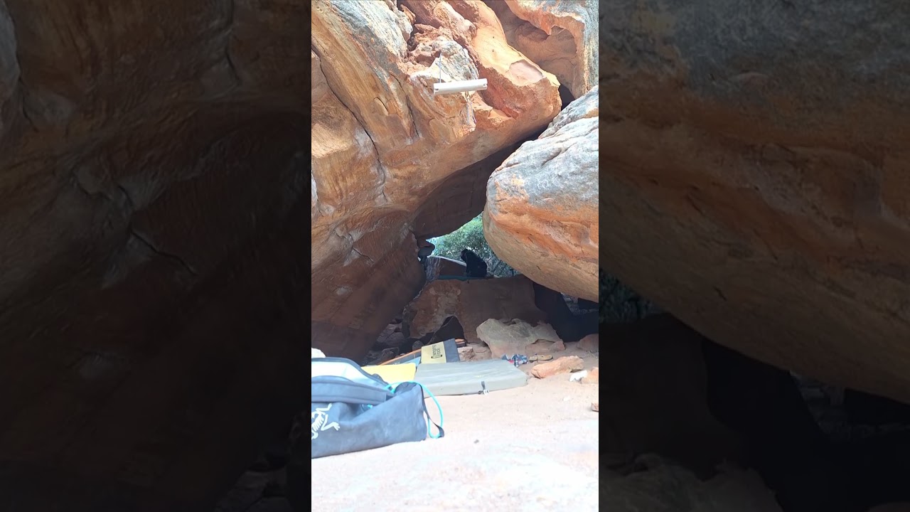 Reverse Cowgirl - 8B+