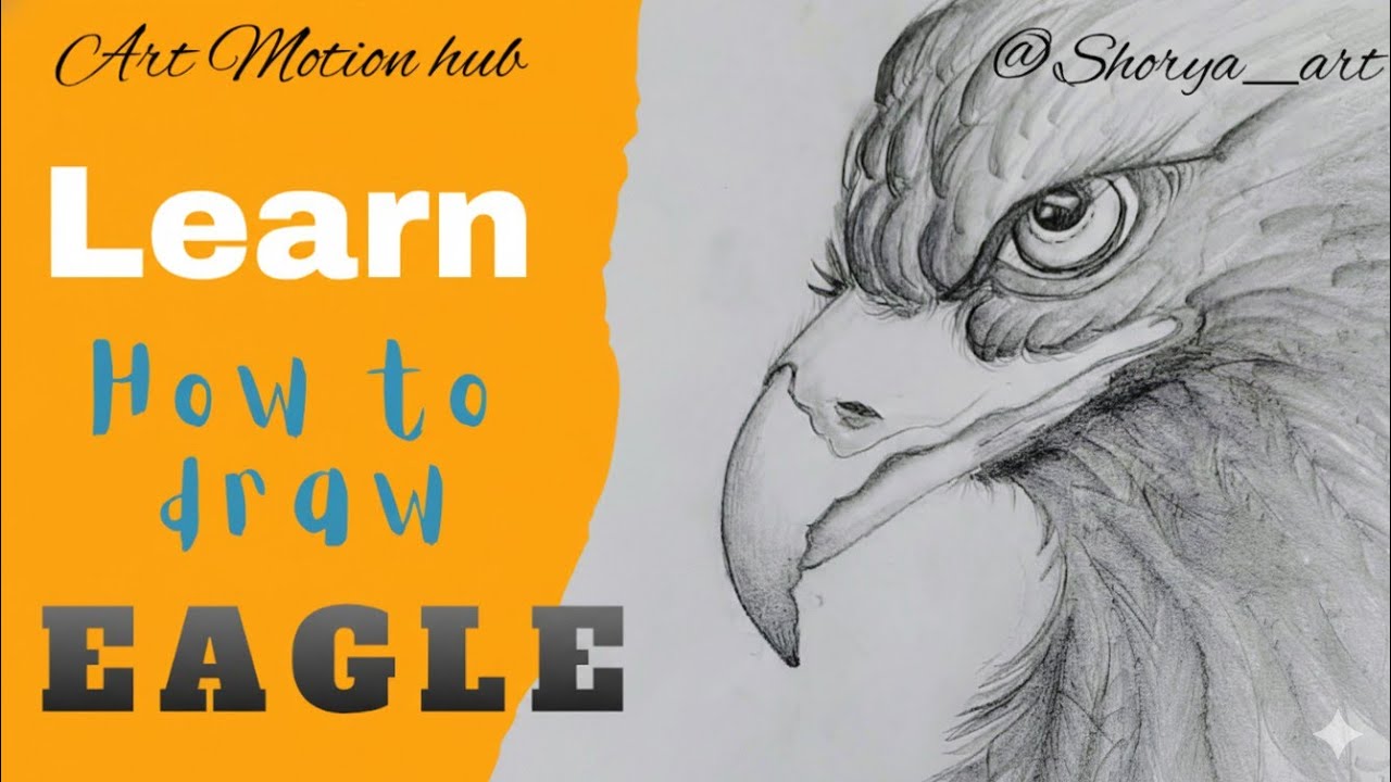 Learn how to draw Eagle. Pencil sketch tutorial step by step.