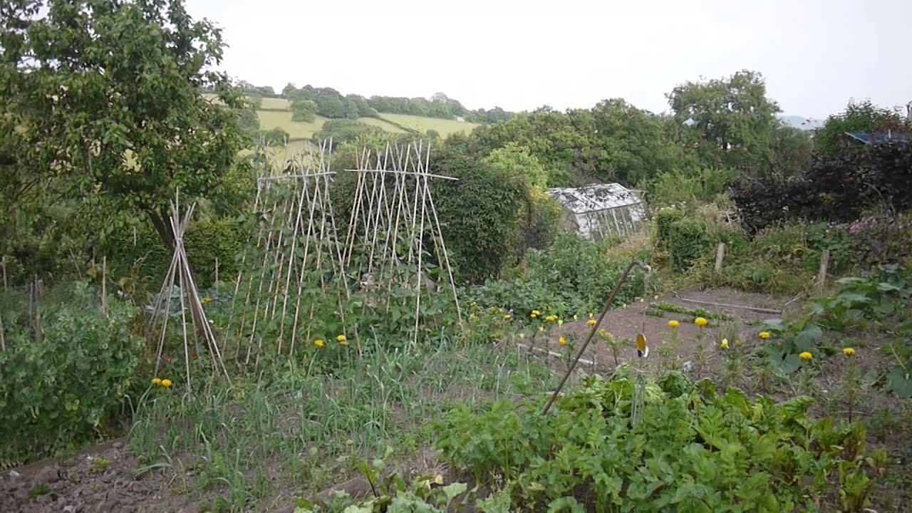 Annes Garden